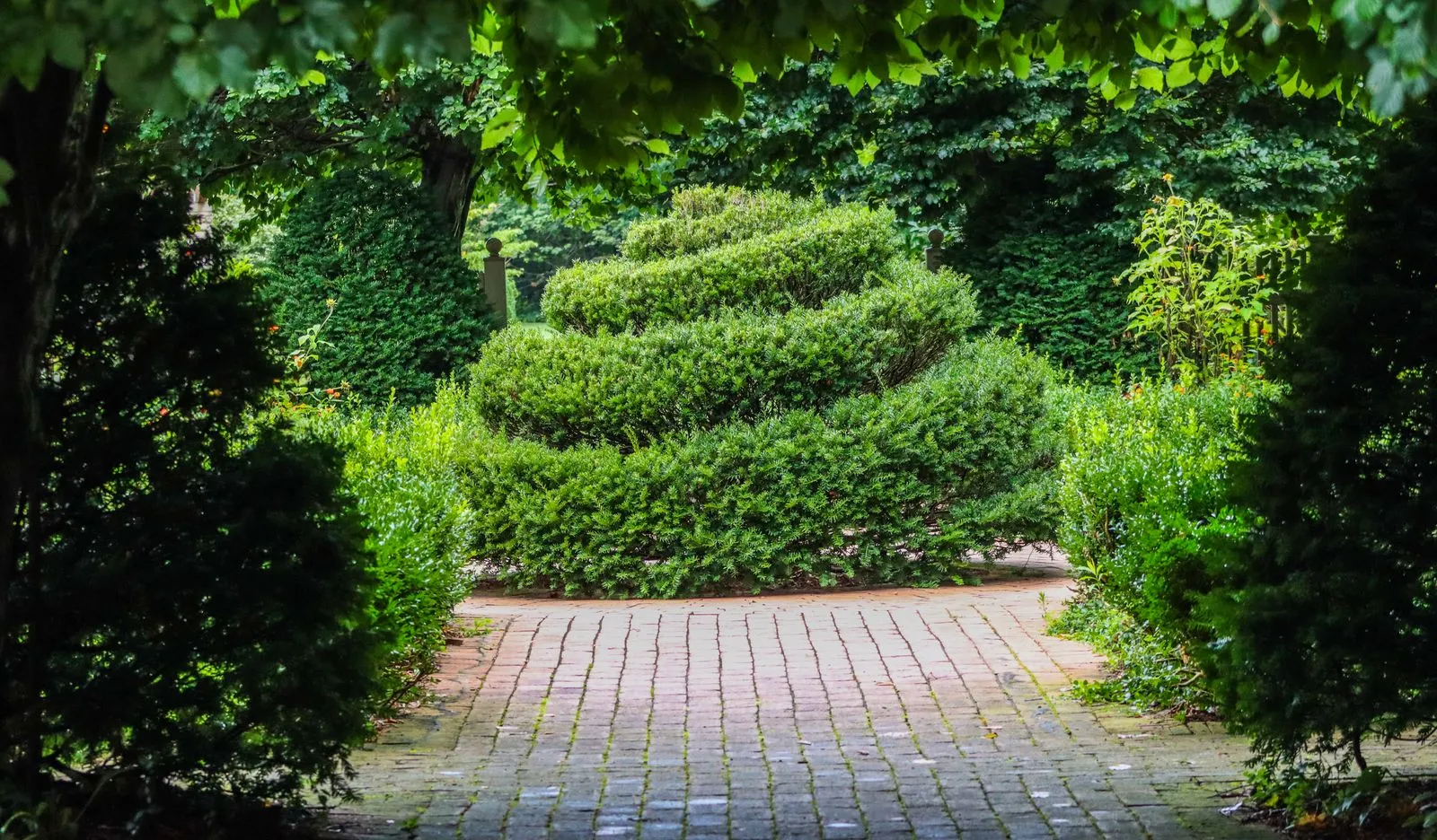 A serene outdoor garden scene featuring a spiral-shaped shrub and a red brick pathway.